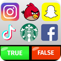Logo Game : True False Puzzle