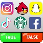 Logo Game : True False Puzzle