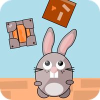 Little Rabbit Escape