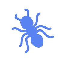 Ants Clash