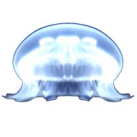 Jellyfish breeding game - free
