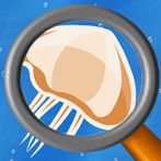 Jelly Flop - Endless