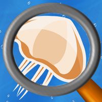 Jelly Flop - Endless