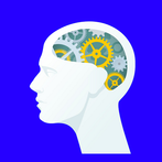 Superior intelligence o adults