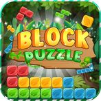 Puzzle: Forest Block