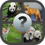 مسابقة الذكاء مع اربع صور تحدي