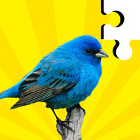Bird Jigsaw - Puzzle Games