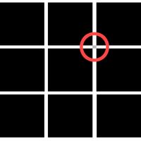 Spot The Square : Optical illu