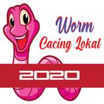 Worm Cacing Lokal