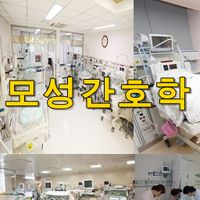 모성간호학 용어 퀴즈 100