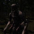Escape From the Pitchy Forest