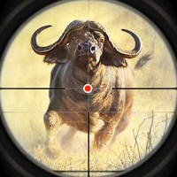 Animals Hunting Games Gun Game