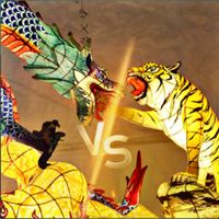 Dragon Vs Tiger Practice