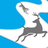 Animal Chase