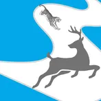 Animal Chase