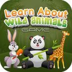 Learn About Wild Animals