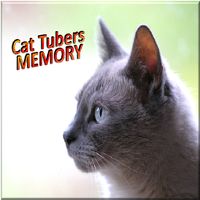 Memoria Gatos Tubers