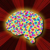 7 Brains - Super Quiz