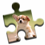 Cute Puppies Puzzle