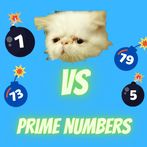 Commander Miyu vs Prime Number