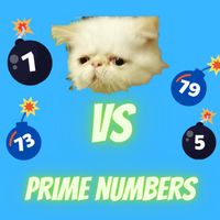 Commander Miyu vs Prime Number