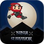 Ninja Survivor
