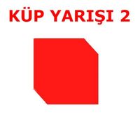 %100 MİLLİ TÜRK KÜP YARIŞ OYUN