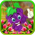 Beautiful Grapes Escape - JRK