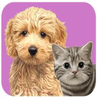 Animal kids dress up fun