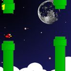 Flappi Birds Special Space