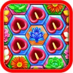 Flower Hexa Puzzle Fever 2018