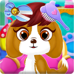 Pet Hair Beauty Makeover Salon