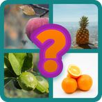 Guess The Fruits