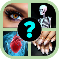 Human Body Parts Quiz Game