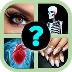 Human Body Parts Quiz Game