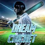 Dream Cricket 24 INDIAN riddle