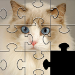 Cats Jigsaw Puzzles Games