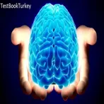 Brain Develop
