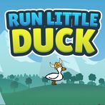 Run Little Duck