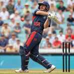 Real World Cricket Games