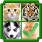 Guess 4 Pics 1 Wrong