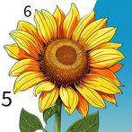 Color Painting-Color by Number