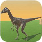 Play With Velociraptor Dinosau