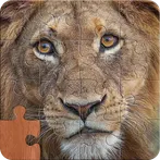 Wild Animals Jigsaw Puzzles