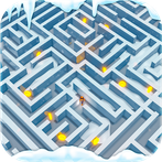Maze Runner 3d Challenge