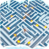 Maze Runner 3d Challenge