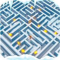 Maze Runner 3d Challenge