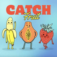 Catch Fruit