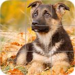 Puppies Puzzle: Shepherd