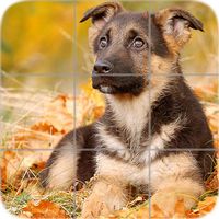 Puppies Puzzle: Shepherd